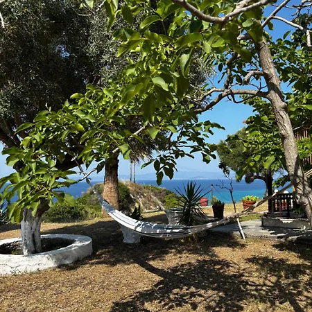 Konstantinos Polichrono